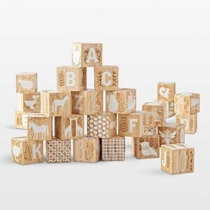 NIB: Crate + Barrel Etched Wooden Baby Blocks